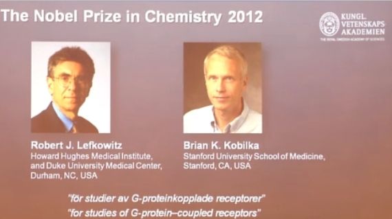 2012 Nobel Kimya ödülünü hücrelerdeki kimyasal sinyal ağı kazandı